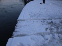 190208_PKW_in_Donau_Regensburg_6